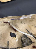 Vintage Halloween Costume Box - thumbnail 12 of 21