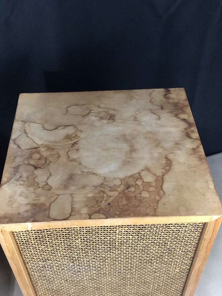Electro-Voice Speakers - image 3 of 5