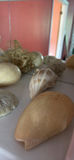 Seashells, Starfish, and Glass Bowl Display - thumbnail 2 of 3