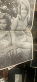 9 Vintage Stanford Chapparrel 196os Drear Condition - thumbnail 29 of 32