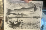 8” 10” Fishing Photos 1930s Spotted Trout - thumbnail 3 of 3