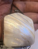 Antique Shell Coin  Purse Handpainted In Salem, Massachusetts - thumbnail 2 of 5