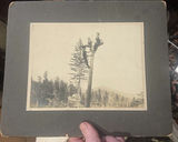 Cabinet Card Photos Men Climbing Poles Mountains Old West - thumbnail 5 of 6