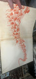 Dr. Seuss 1938 First Edition The 500 Hats Of Bartholomew Cubbins - thumbnail 7 of 11