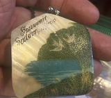 Antique Shell Coin Purse Handpainted In Salem, Massachusetts - thumbnail 1 of 5