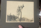 Cabinet Card Photos Men Climbing Poles Mountains Old West - thumbnail 4 of 6