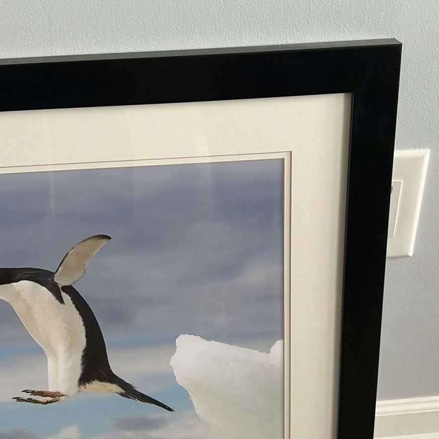 Framed Penguin Print - image 3 of 10