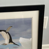 Framed Penguin Print - thumbnail 3 of 10