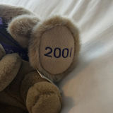 Collection of Vintage & Contemporary Teddy Bears - thumbnail 11 of 16