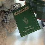 Collection of Vintage & Contemporary Teddy Bears - thumbnail 14 of 16
