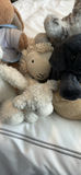 Assorted Plush Stuffed Animals - thumbnail 5 of 14