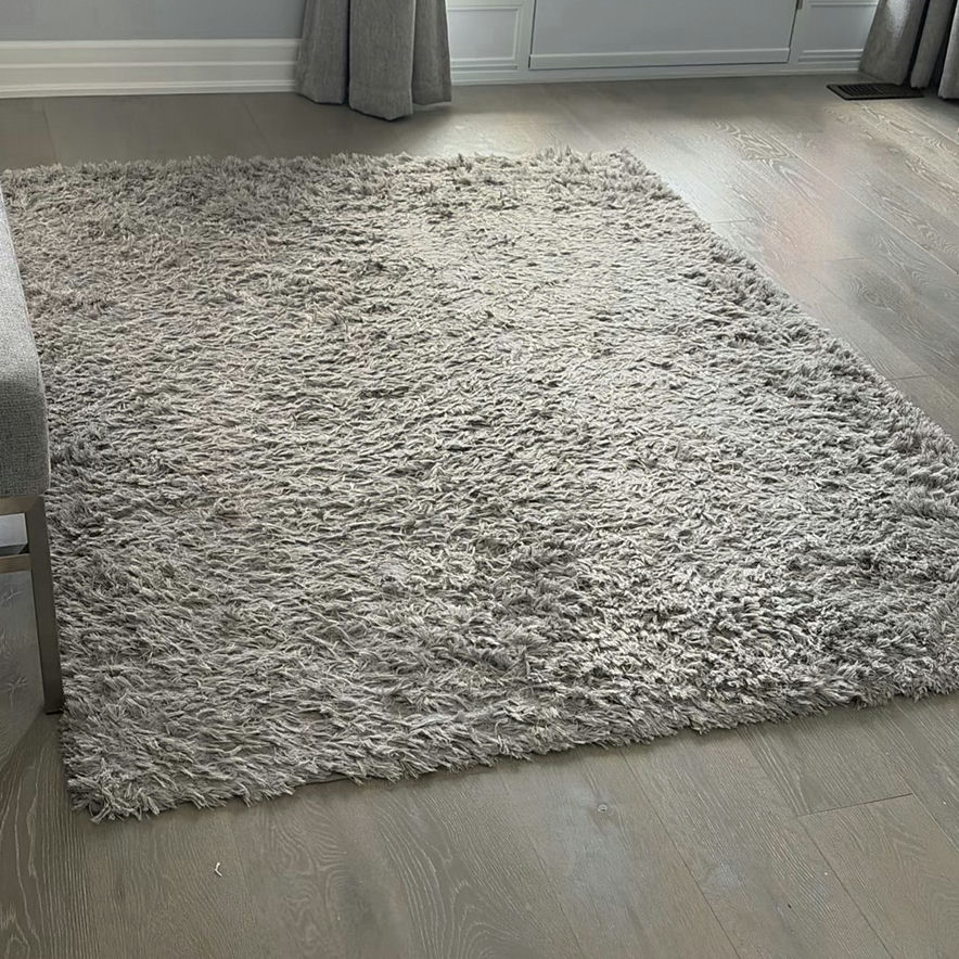 Large Gray Shag Area Rug from ECARPET GALLERY - image 1 of 8