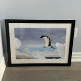 Framed Penguin Print - thumbnail 1 of 10