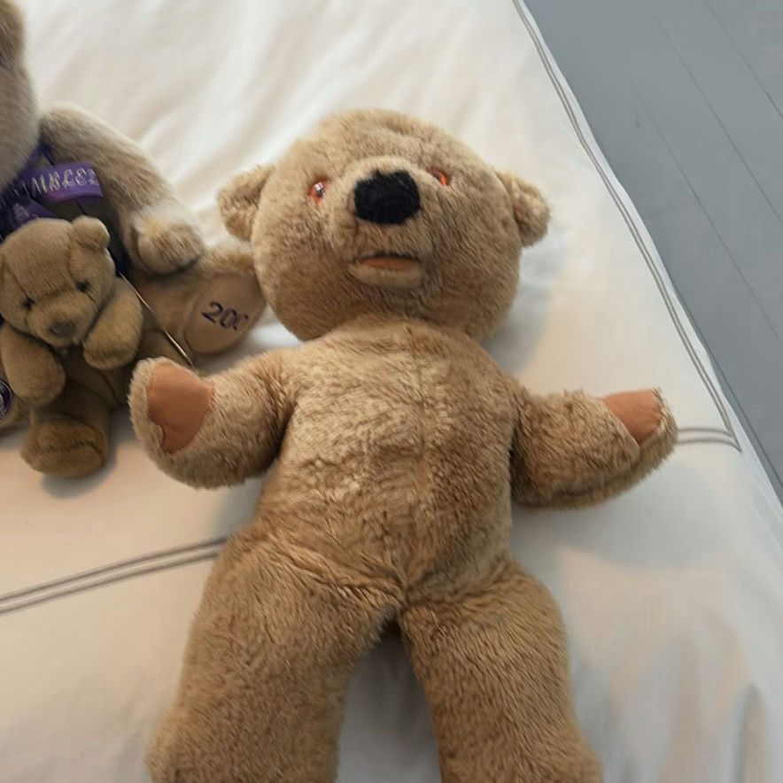 Collection of Vintage & Contemporary Teddy Bears - image 12 of 16