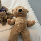 Collection of Vintage & Contemporary Teddy Bears - thumbnail 12 of 16
