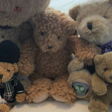 Collection of Vintage & Contemporary Teddy Bears - thumbnail 8 of 16