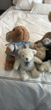 Assorted Plush Stuffed Animals - thumbnail 2 of 14