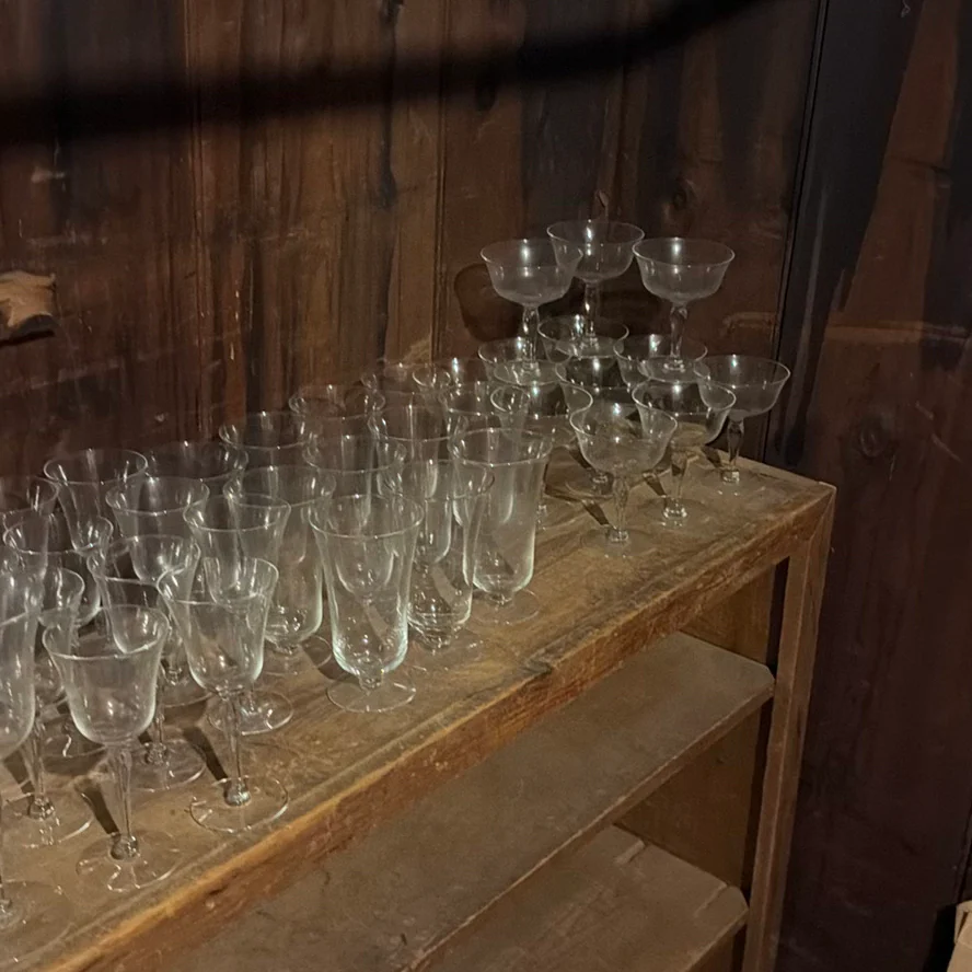 Glass Stemware and Shot Glasses - image 3 of 10