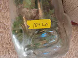 Glass Pig-Shaped Terrarium Container - thumbnail 5 of 6