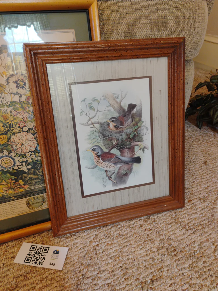 Two Framed Botanical and Bird Prints - image 2 of 7