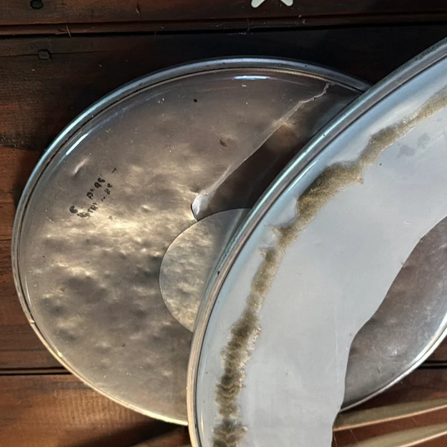 Drum Heads, Hoops, and Drumsticks - image 5 of 9