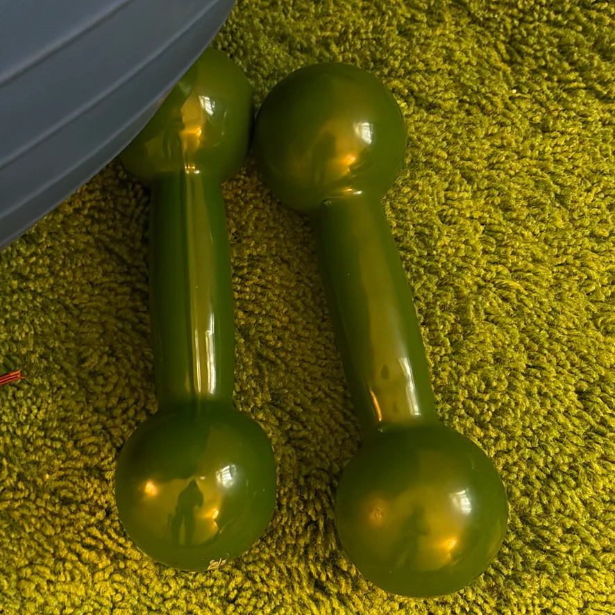 Exercise Ball with Hand Weights - image 4 of 7