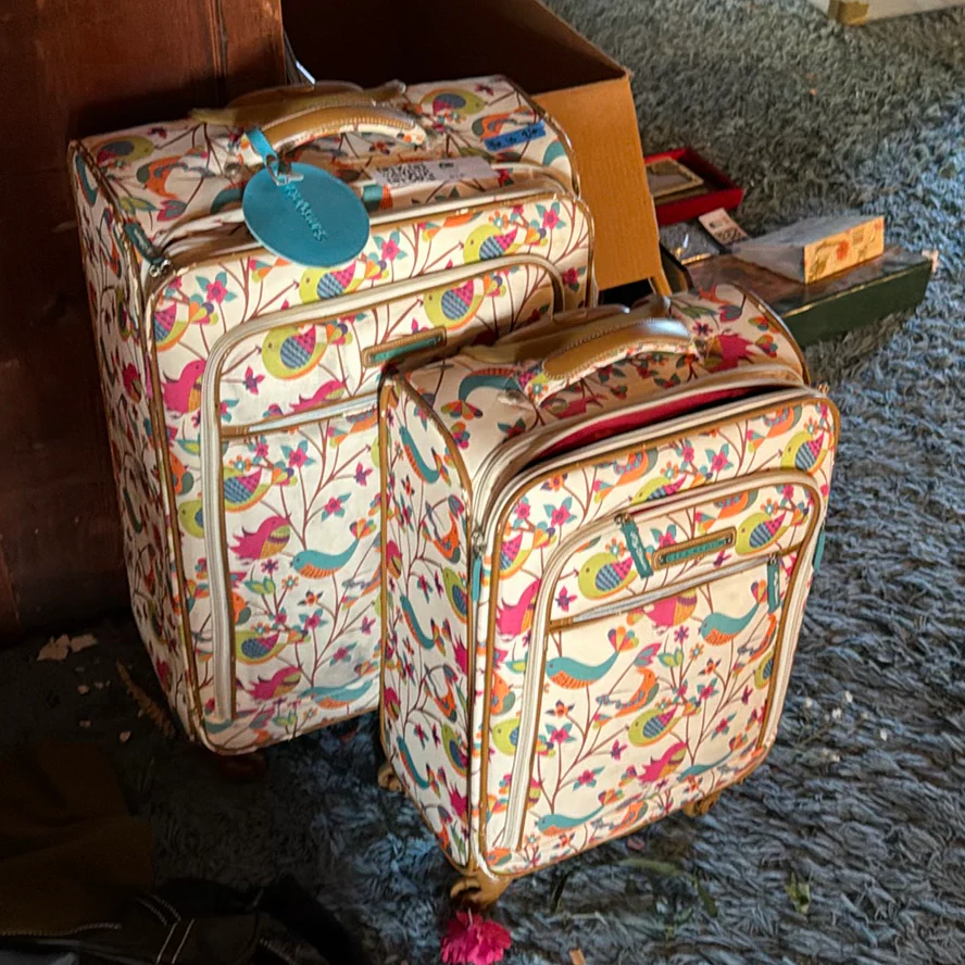 Lily Bloom Rolling Luggage Set - image 1 of 9