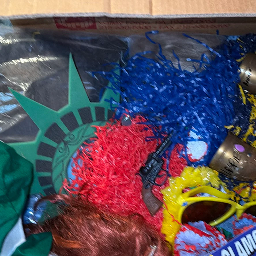 Costume Accessories and Clothing Lot - image 5 of 9