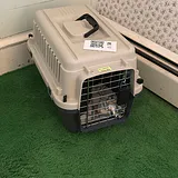 Plastic Pet Carrier Crate - thumbnail 2 of 5