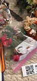 Holiday Decorations and Nativity Figurines - thumbnail 13 of 20
