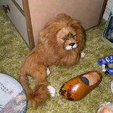 Candles, Hot Wheels, Stuffies - thumbnail 7 of 9