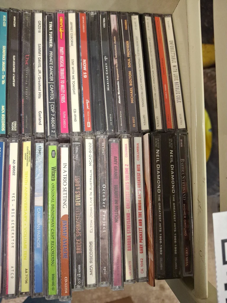 Collection of Music CDs and Disc Storage Cases - image 2 of 22