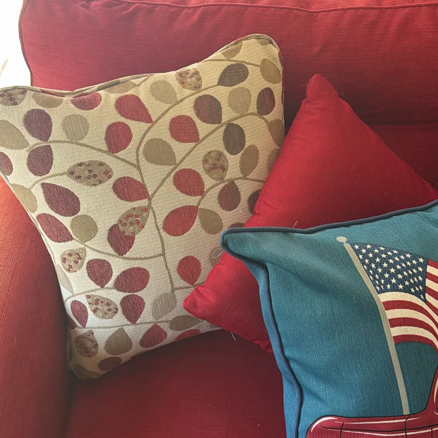 Assorted Decorative Throw Pillows - image 2 of 5