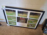 Philadelphia Phillies and Steve Carlton Photo - thumbnail 3 of 8