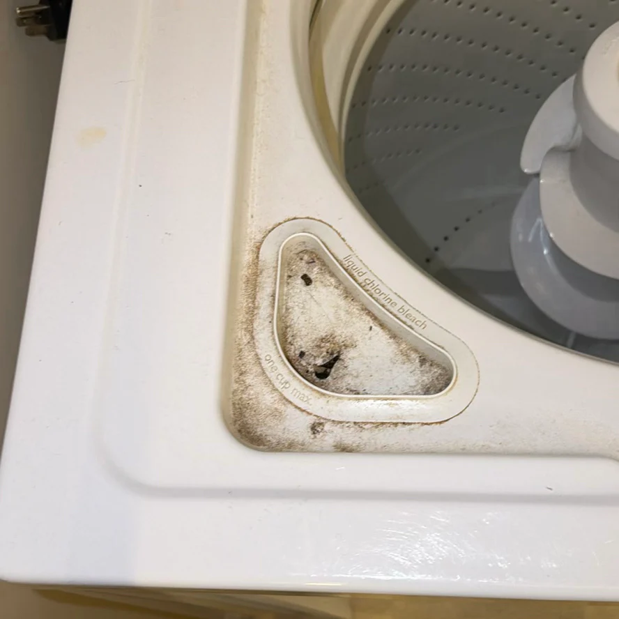 Whirlpool Top-Loading Washing Machine - image 7 of 10