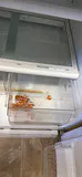 Haier Top-Freezer Refrigerator - thumbnail 9 of 12