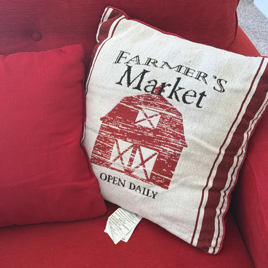 Assorted Decorative Throw Pillows - image 5 of 5