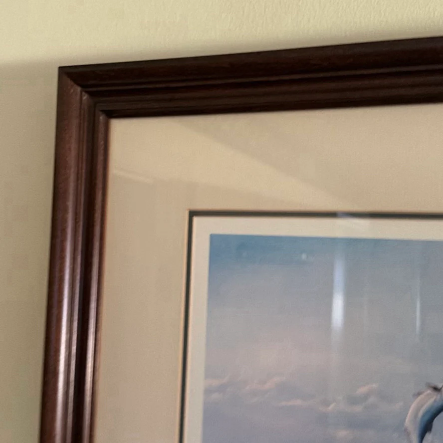Framed "Trophy Tarpon" Limited Edition Print - image 5 of 8
