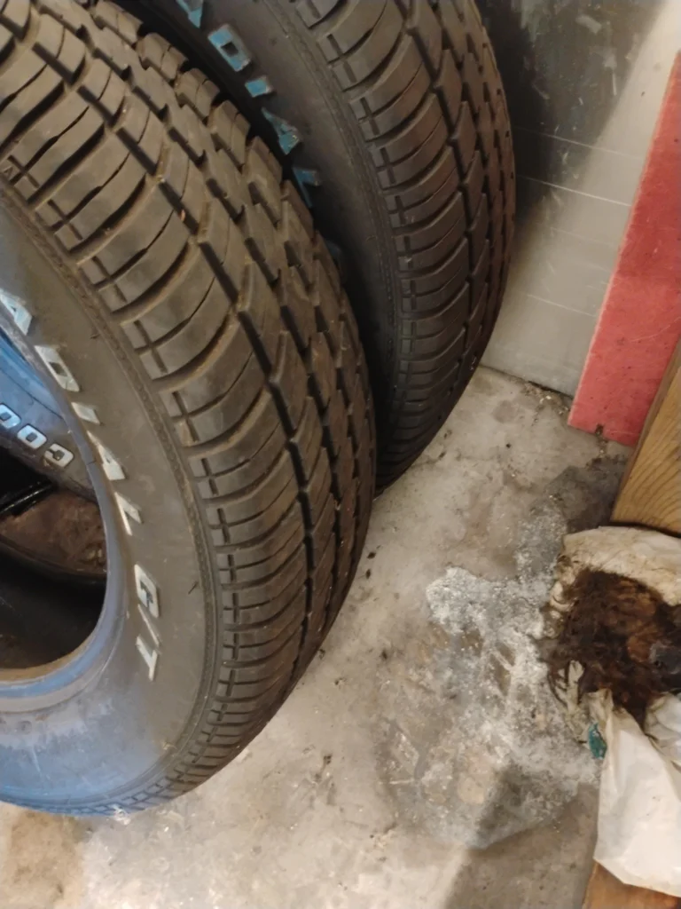 Set of Cooper Cobra Radial G/T Tires - image 6 of 8