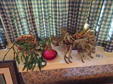 Collection of Potted Houseplants - thumbnail 5 of 7