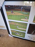 Philadelphia Phillies and Steve Carlton Photo - thumbnail 6 of 8