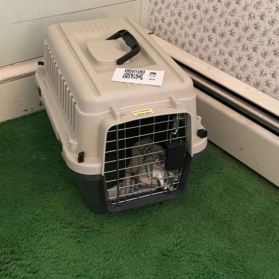 Plastic Pet Carrier Crate - image 1 of 5