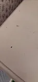 Wood White Five-Drawer Dresser - thumbnail 9 of 12