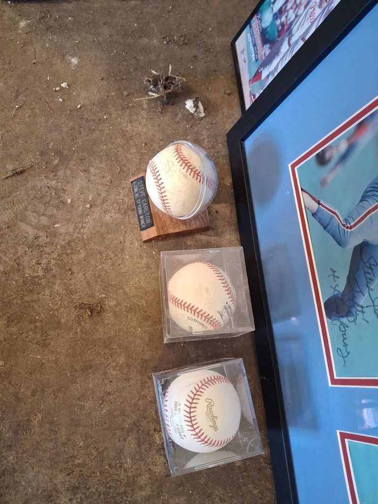 Sports Memorabilia and Framed Posters Collection - image 6 of 11