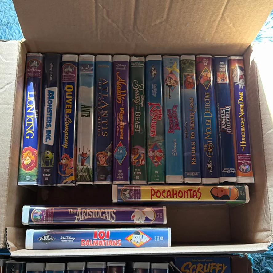 Collection of Animated VHS Tapes - image 4 of 4