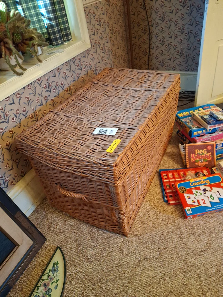 Large Wicker Storage Chest - image 1 of 7