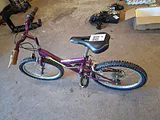 Purple Mt. Mystique Youth Bicycle - thumbnail 2 of 6