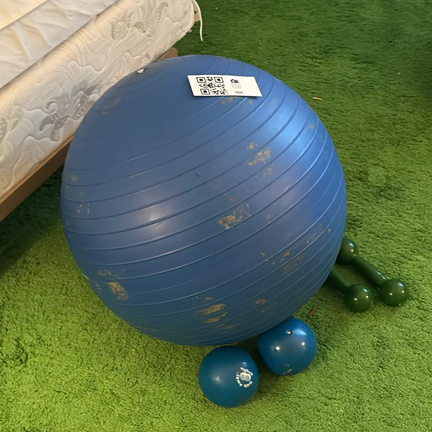 Exercise Ball with Hand Weights - image 7 of 7