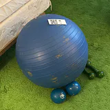 Exercise Ball with Hand Weights - thumbnail 7 of 7