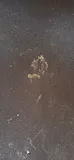 Black Mesh Office Chair - thumbnail 6 of 6